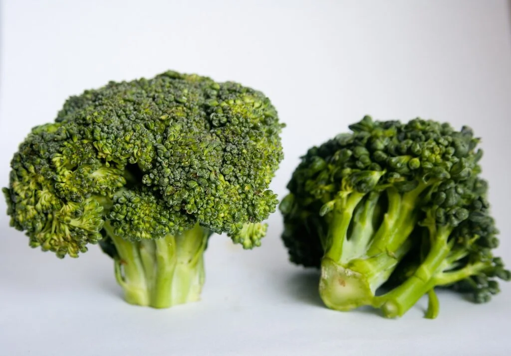 broccoli, green, vegetabes-166949.jpg