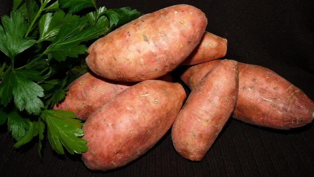 vegetable, nature, red-3559112.jpg