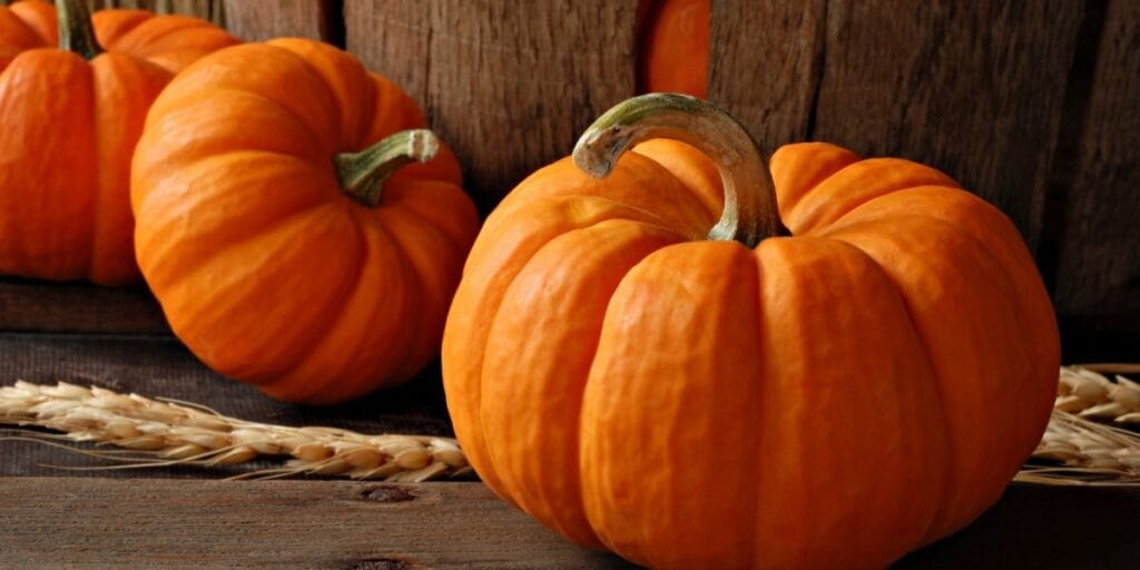 moliugai-kuo-jie-naudingi-ir-kaip-tinkamai-paruosti