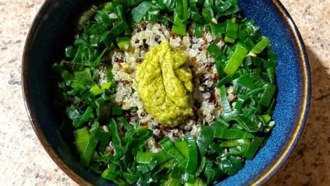 bolivine-balanda-su-keptais-porais-ir-pesto-padazu