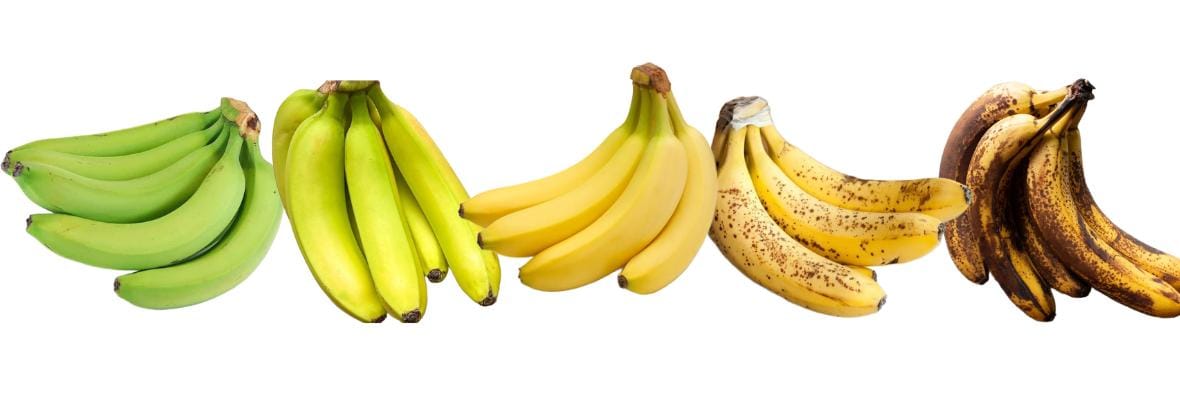 bananu-nokimo-etapai